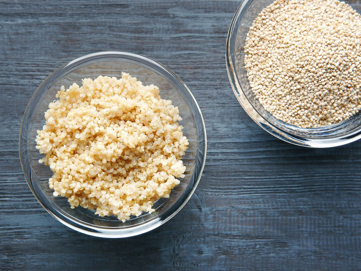 Two plates with sprouted quinoa grains