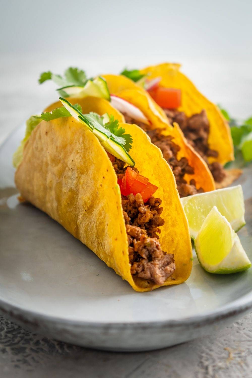 Grilled tortilla shells, crispy and brown on the edges, filled with tortilla meat, tomatoes, avocado and cilantro.