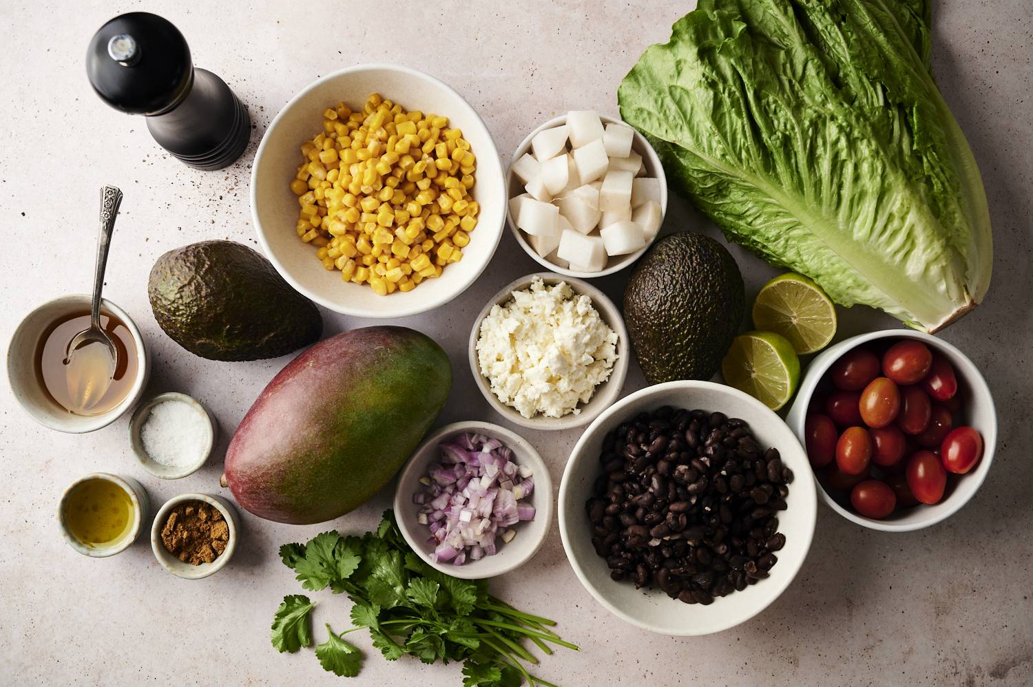 Pure layered fresh ingredients for chopped Mexican salads including romaine lettuce, grape tomato, black beans, mango, corn jade, corn, red onion, avocado, avocado, beef cotija cheese, cilantro, lime, lemon, honey, spices, spices and oils.