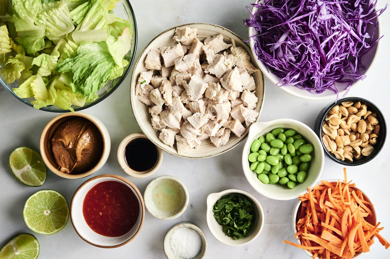 Colorful arrangement of salad ingredients: romaine lettuce, purple seaweed chopped, chicken, carrots, edamame, peanuts and seasonings.
