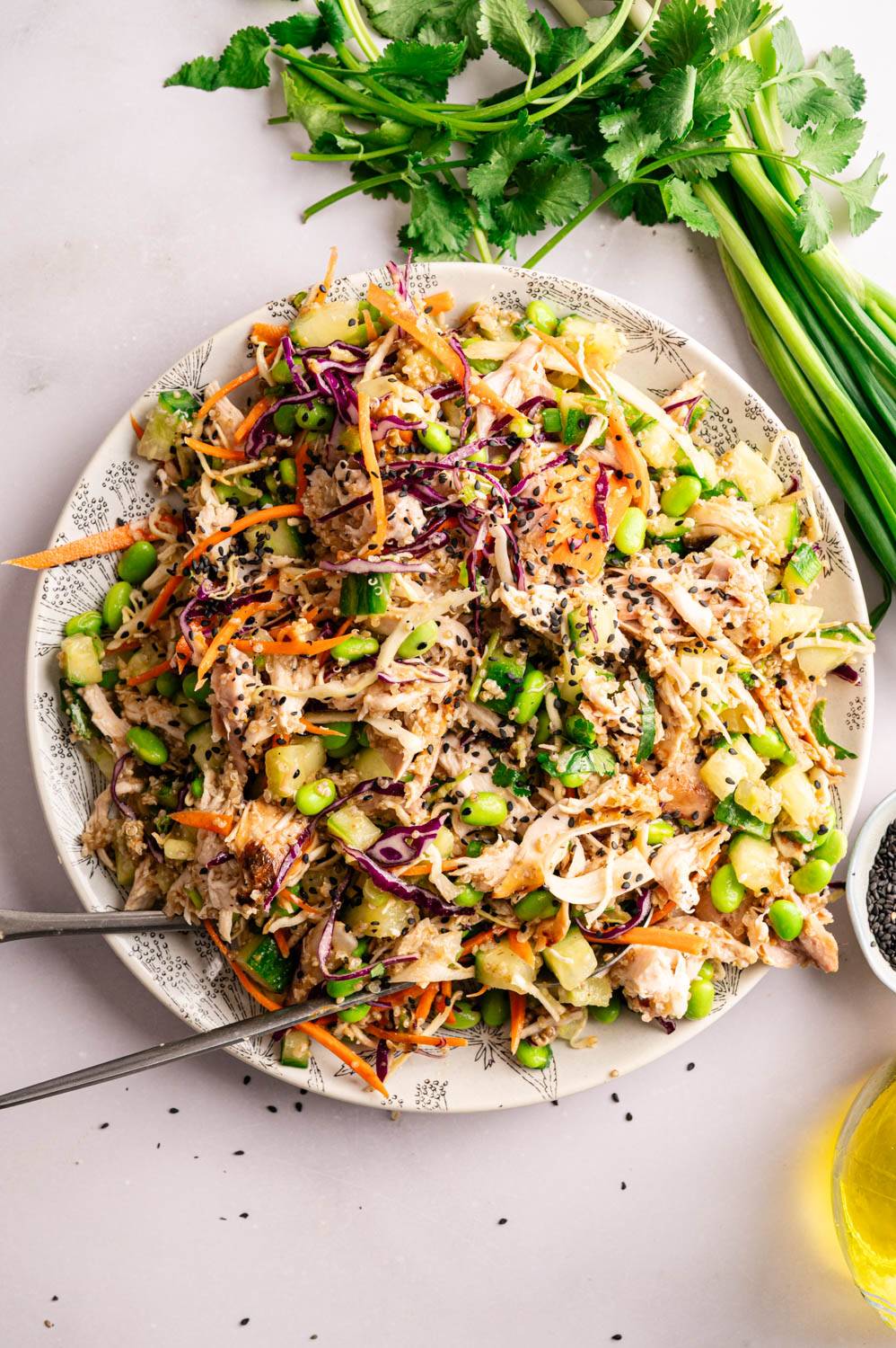 A vibrant salad garnished with shredded chicken, edamame, carrots, cucumbers and red cabbage, sprinkled with black sesame seeds. Fresh cilantro and scallions sit on the side of the plate.